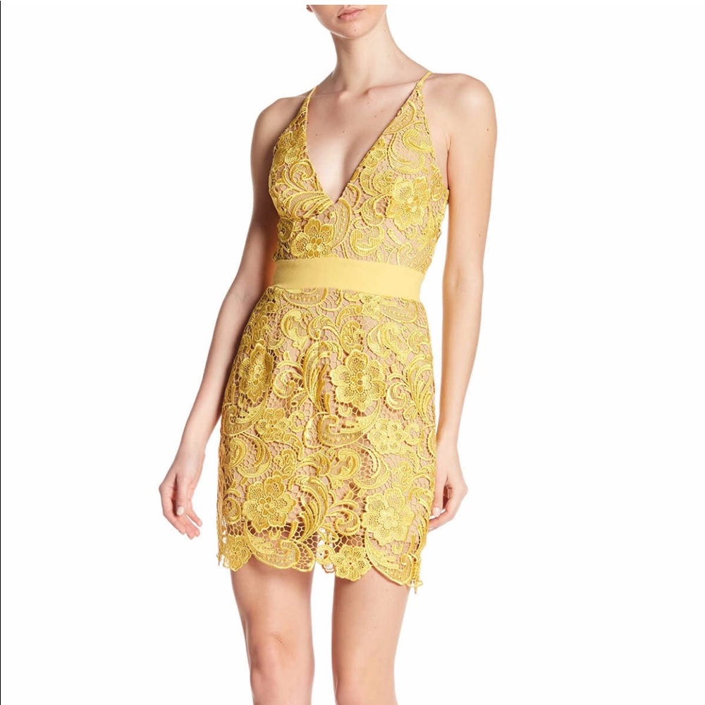 NWT! Dress the population lace dress
